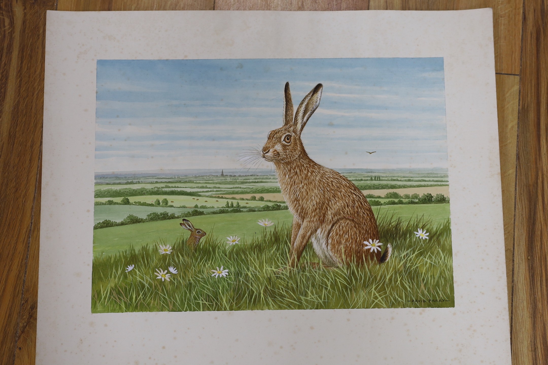 David Parry (b.1942), eight watercolours, birds and wildlife, signed, unframed, 26 x 35cm